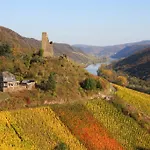 Weinhotel Hubertus Garni Hotel Klotten