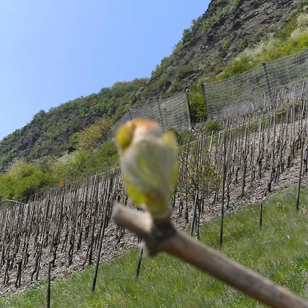 Weinhotel Hubertus Garni Klotten