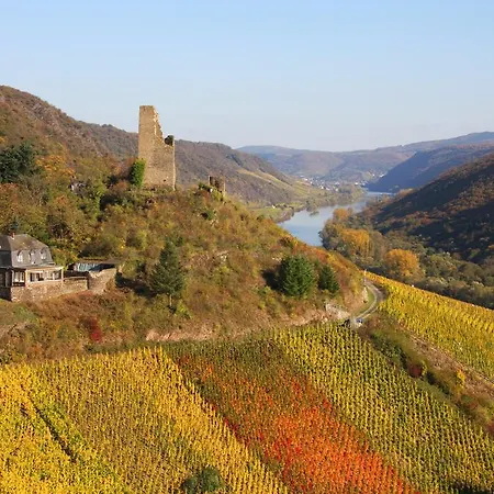 Weinhotel Hubertus Garni Hotel Klotten