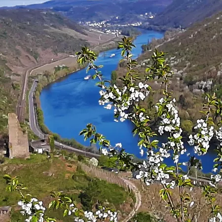Hotel Weinhotel Hubertus Garni Klotten
