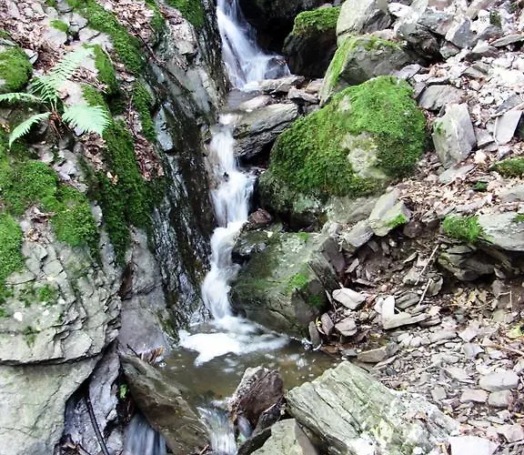 Hotel Weinhotel Hubertus Garni Klotten